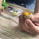 abridor de huevos de codorniz